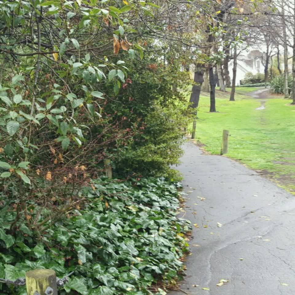 The photograph attached to this parks report