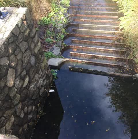 Rubbish/Recycling, a report photo