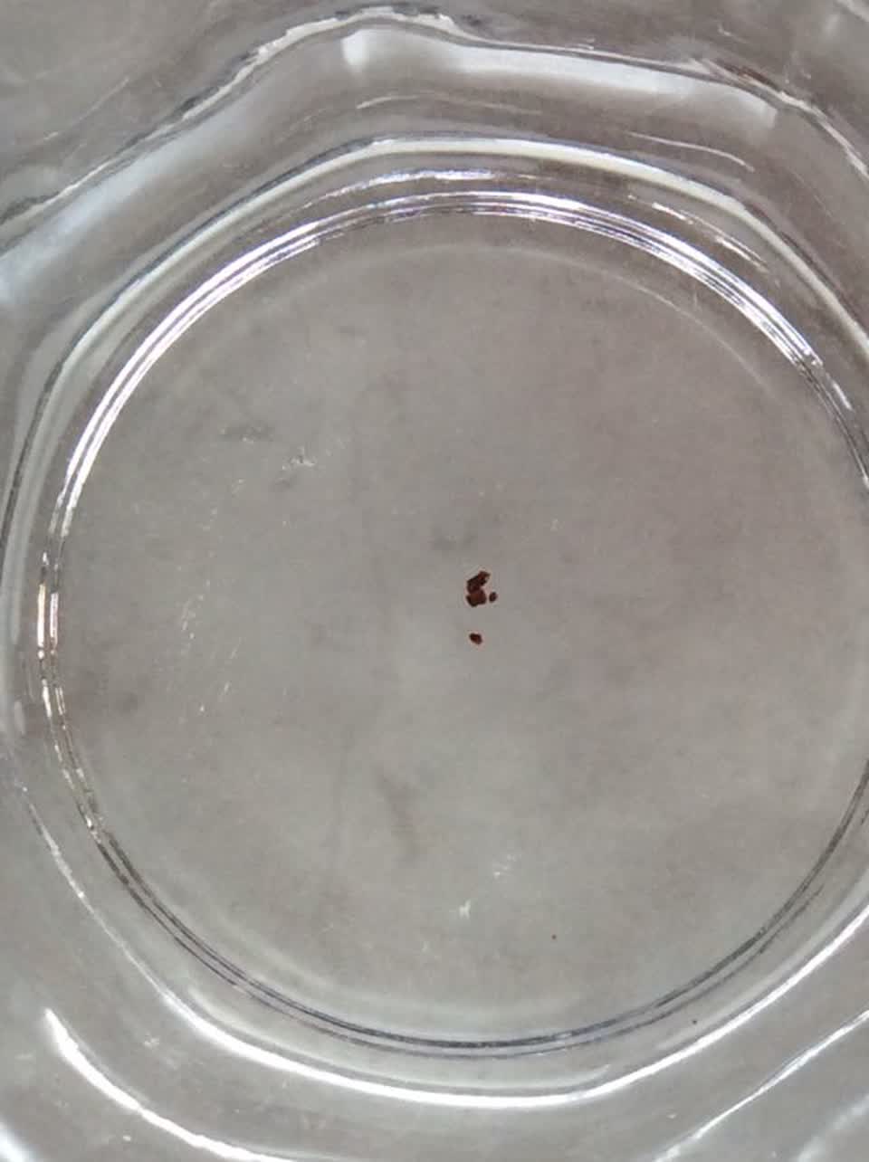 The photograph attached to this water supply report