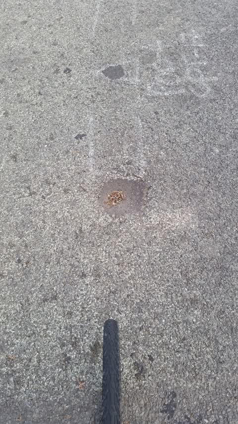 Roading/Streets, a report photo