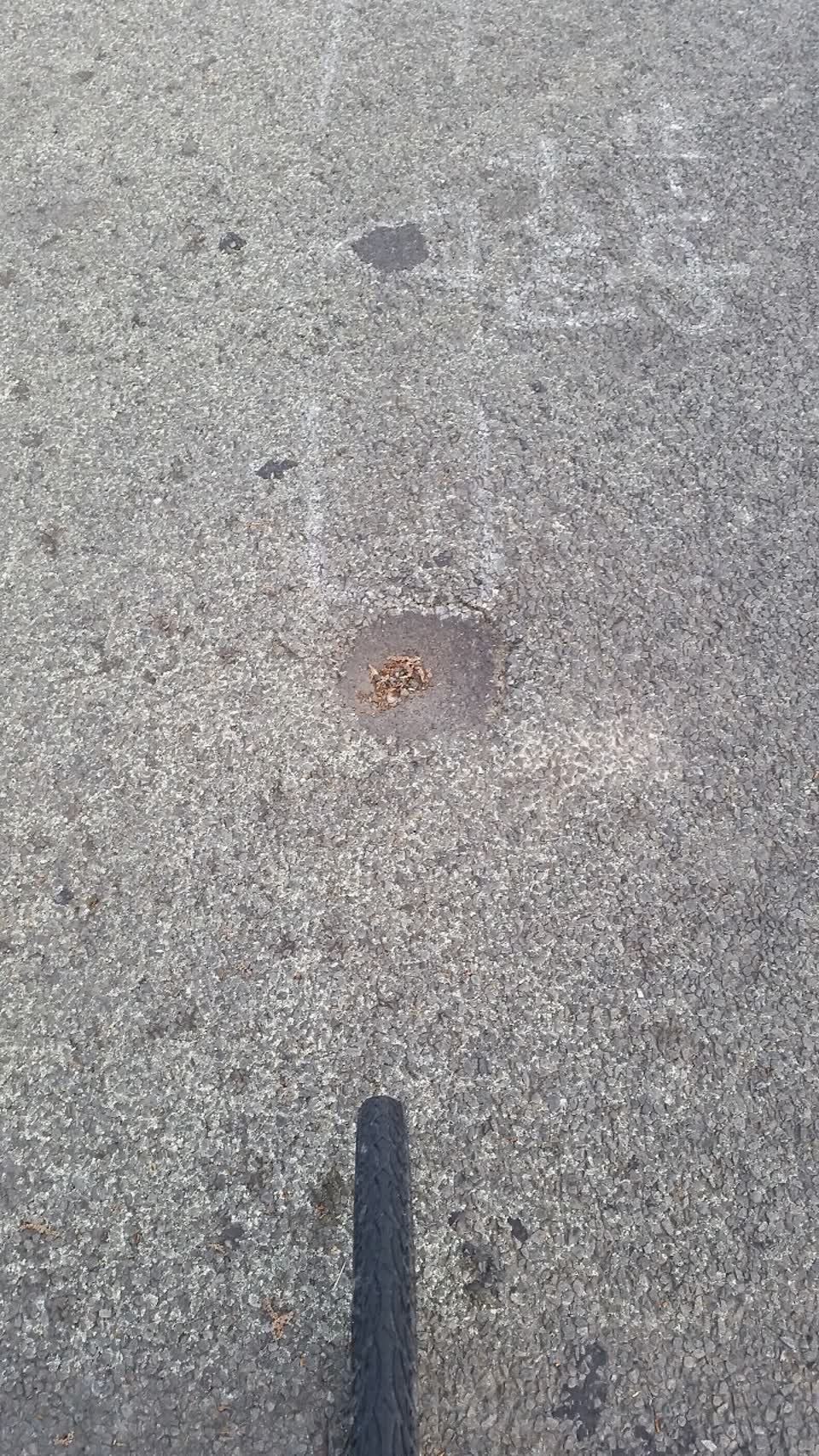 The photograph attached to this roading/streets report