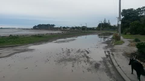 Roading/Streets, a report photo