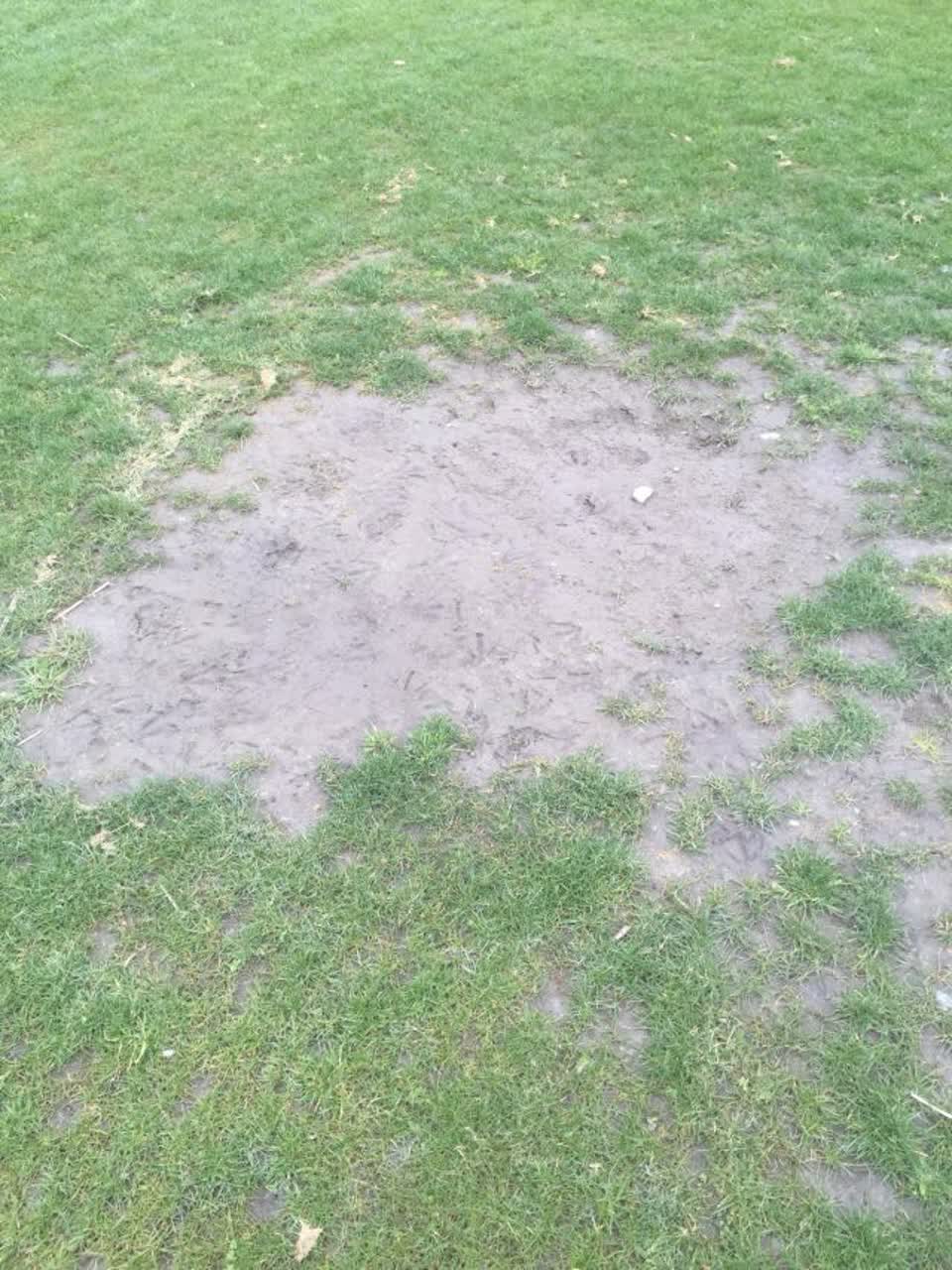 The photograph attached to this parks report