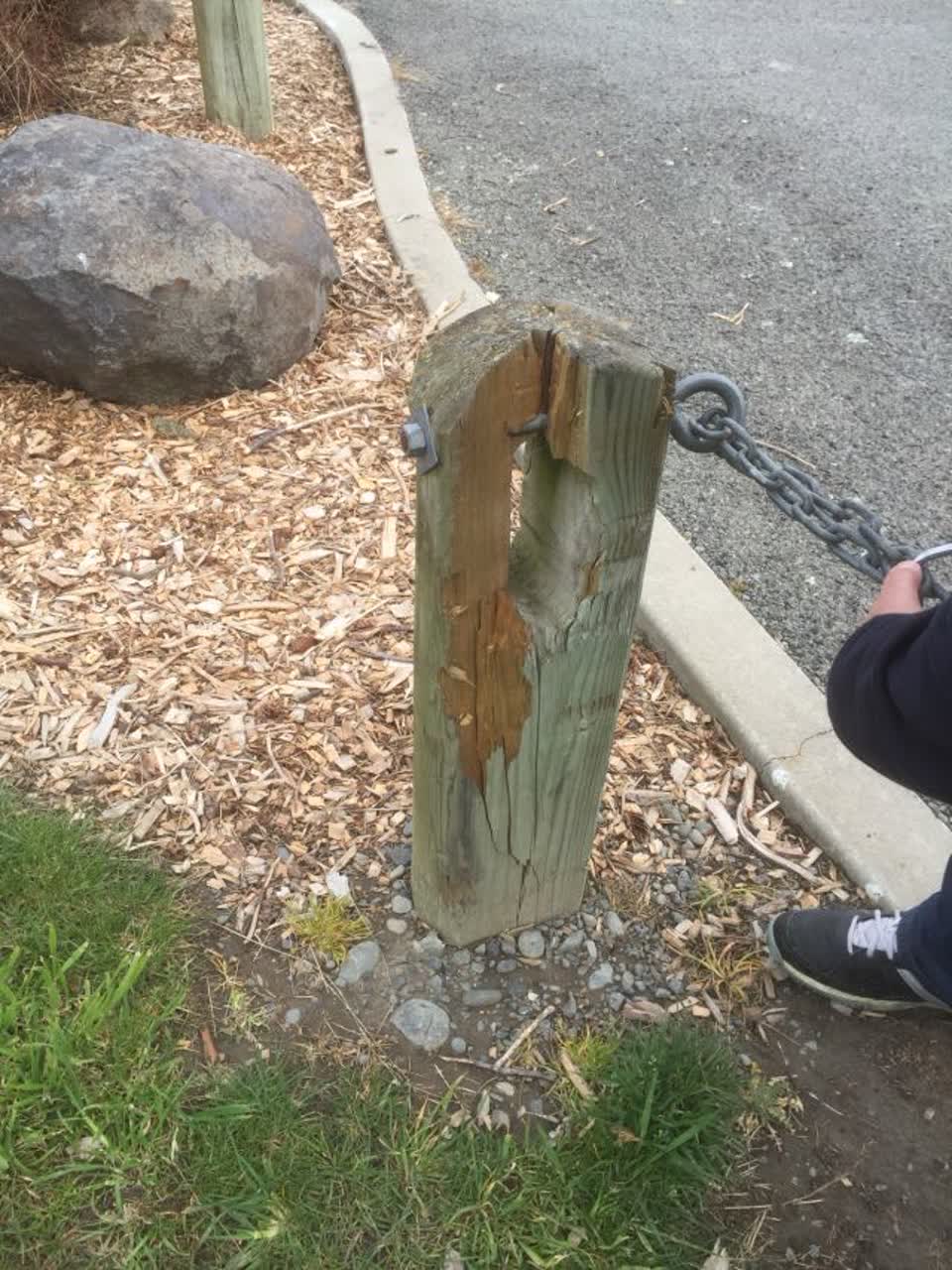 The photograph attached to this parks report
