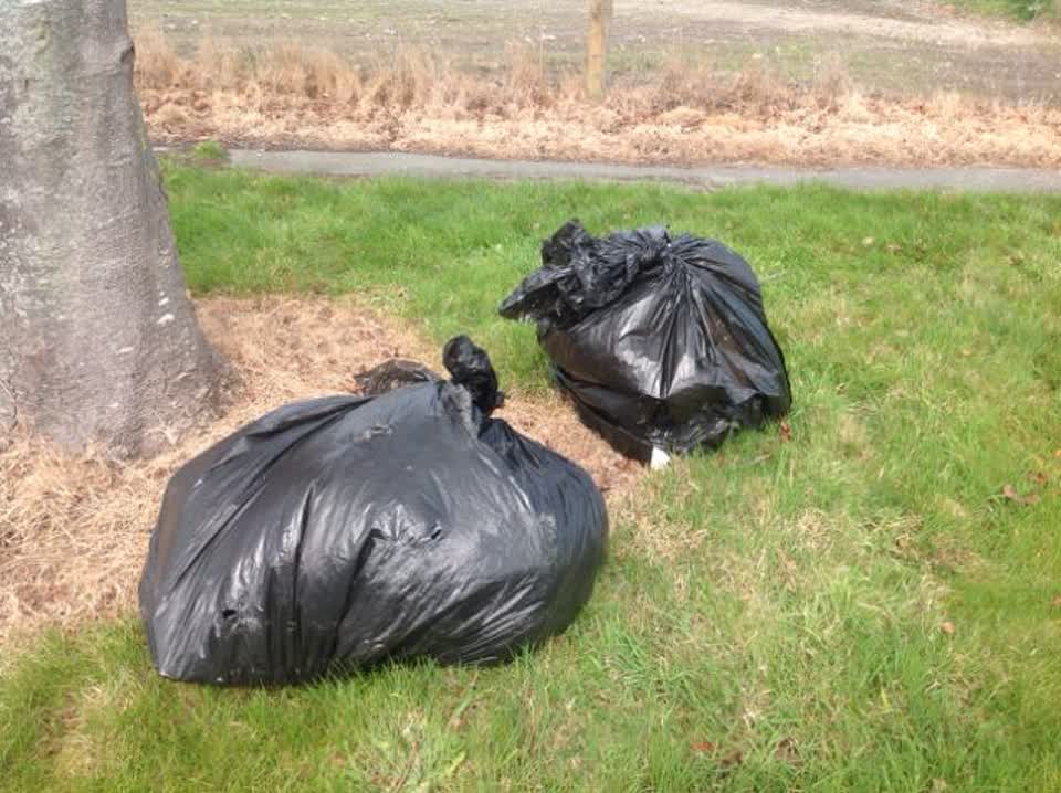 The photograph attached to this rubbish/recycling report