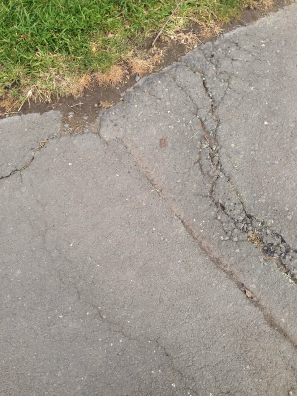 The photograph attached to this roading/streets report
