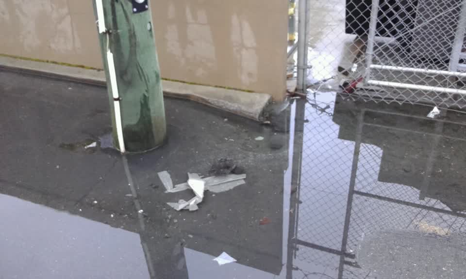 The photograph attached to this roading/streets report