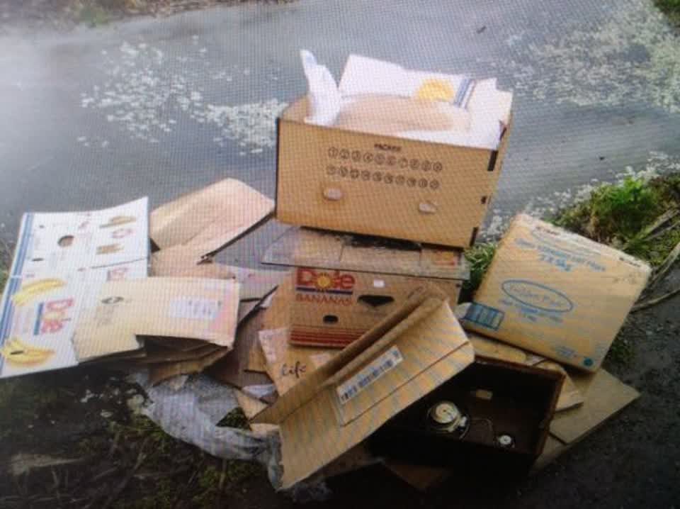The photograph attached to this rubbish/recycling report