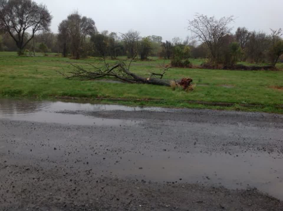 The photograph attached to this parks report