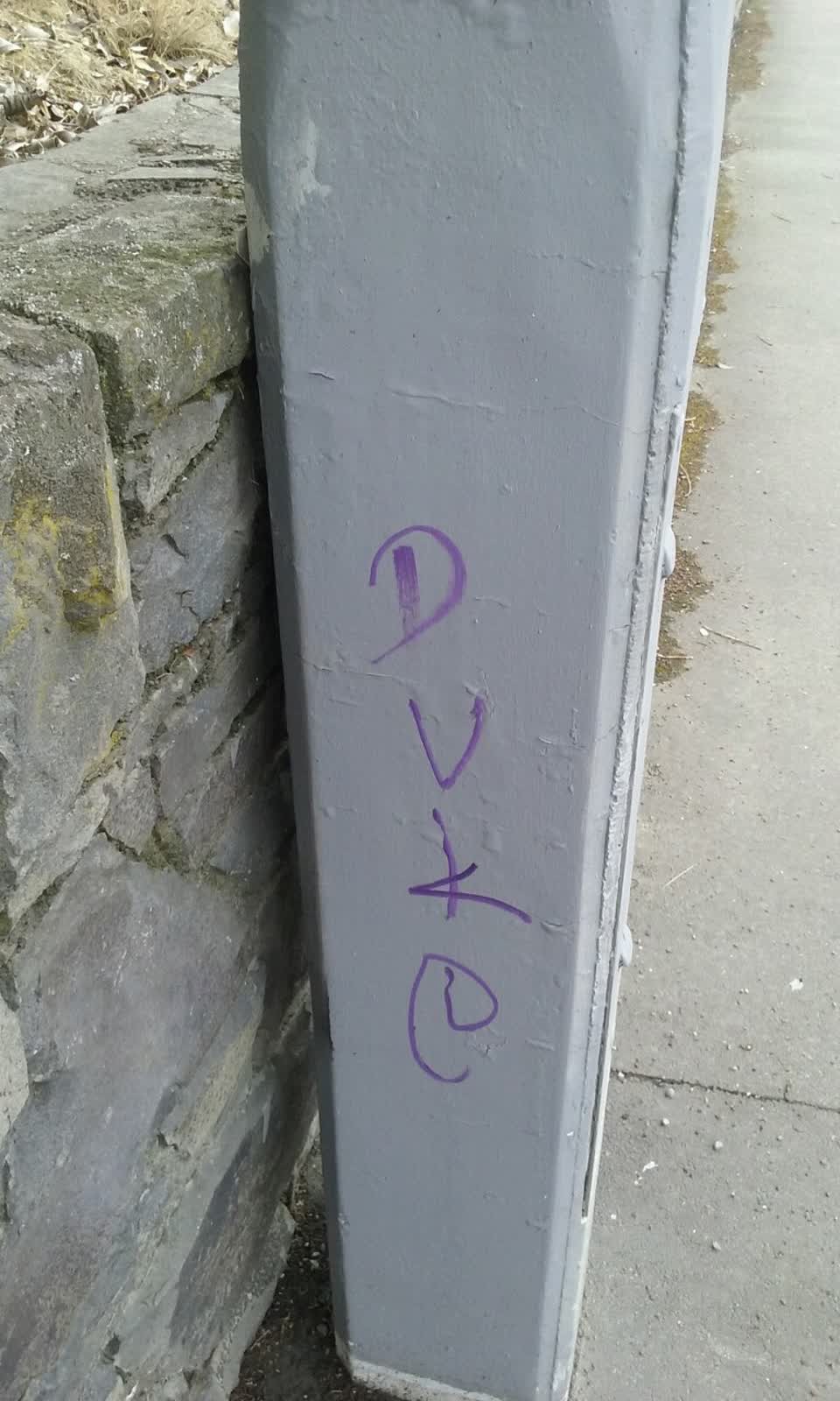 The photograph attached to this graffiti report
