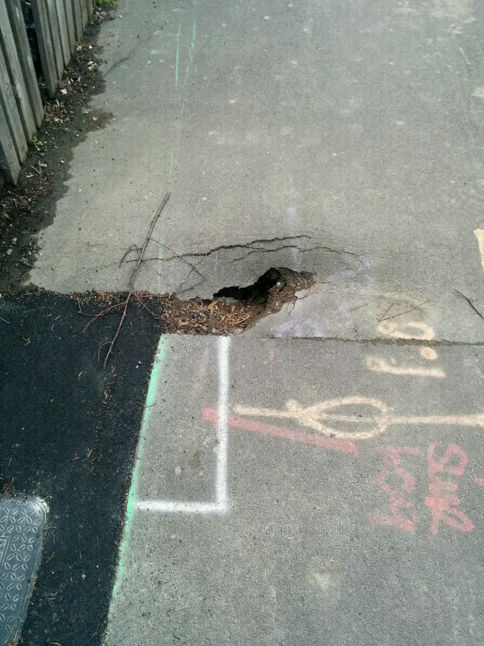 The photograph attached to this roading/streets report