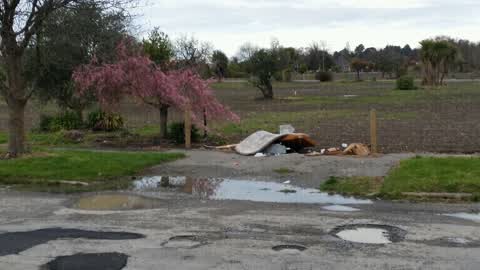 Rubbish/Recycling, a report photo