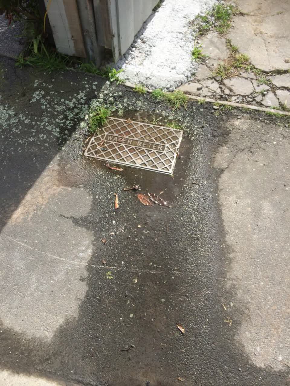 The photograph attached to this water supply report