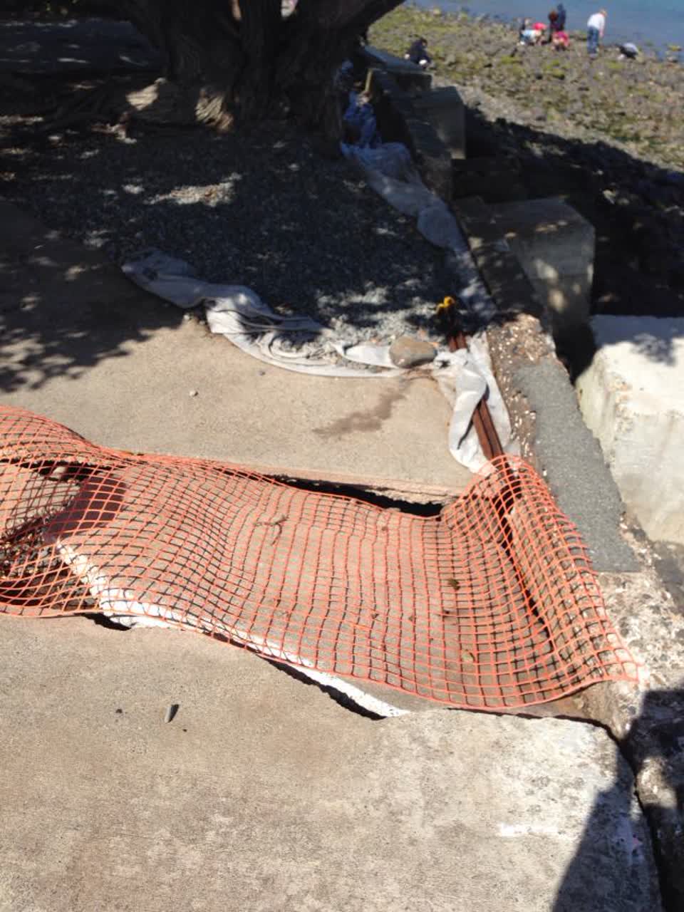 The photograph attached to this parks report