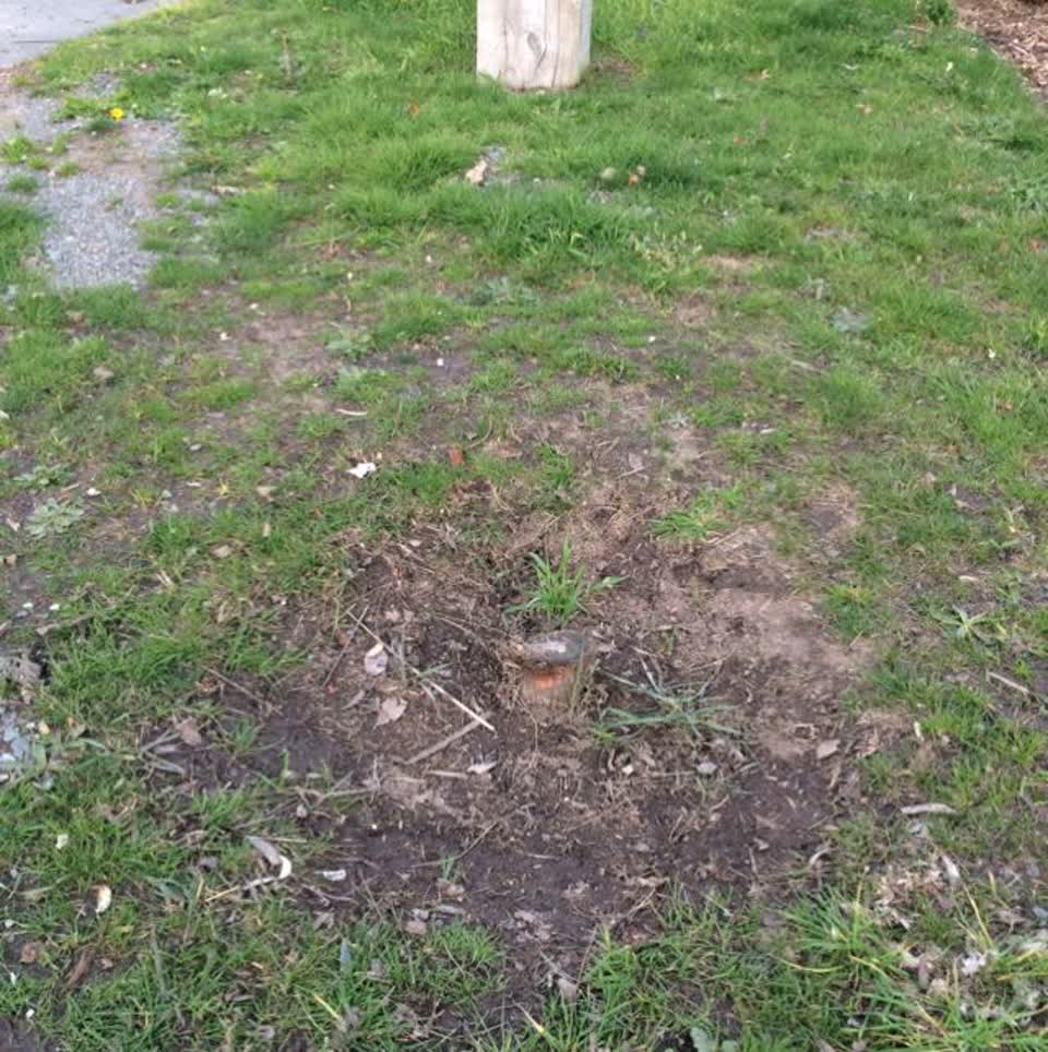 The photograph attached to this roading/streets report