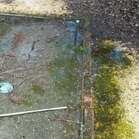 Wastewater/Stormwater, a report photo