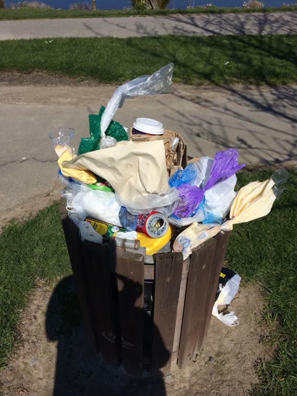 The photograph attached to this rubbish/recycling report