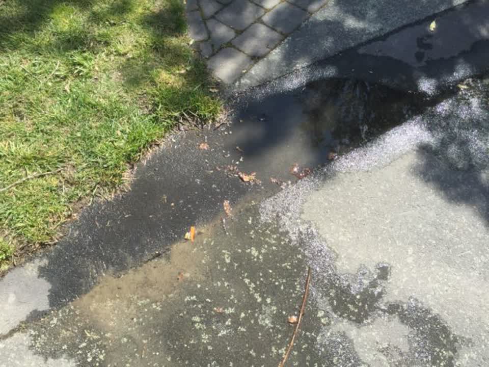 The photograph attached to this water supply report