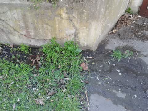 Water Supply, a report photo