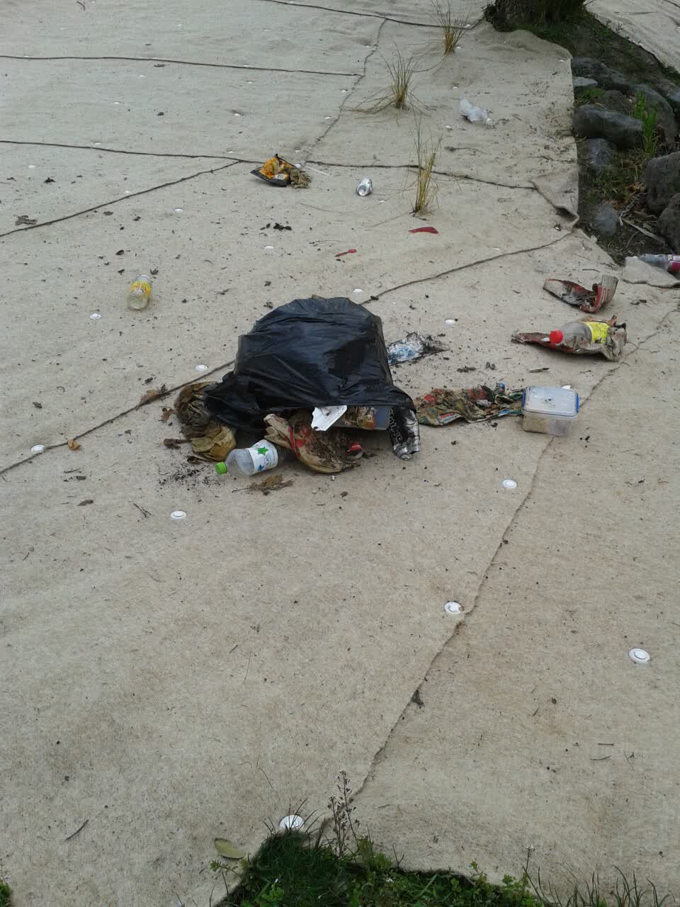 The photograph attached to this rubbish/recycling report
