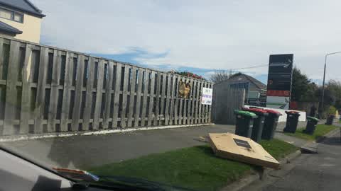Rubbish/Recycling, a report photo