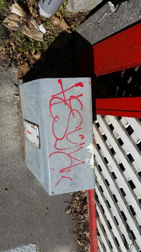 Graffiti, a report photo