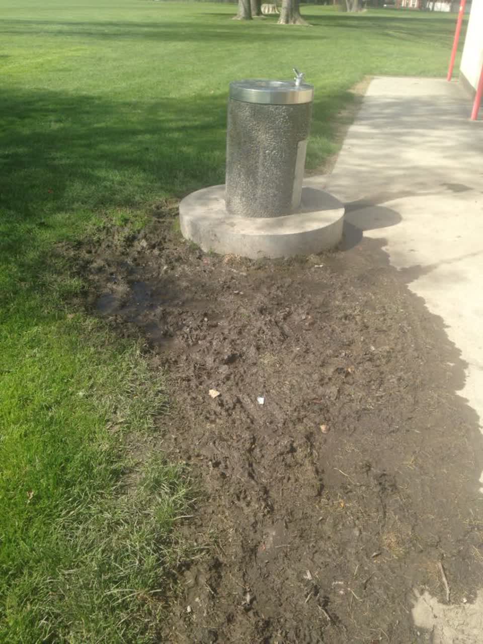 The photograph attached to this parks report