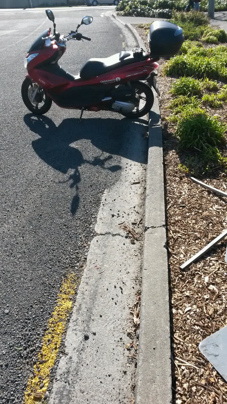The photograph attached to this parks report