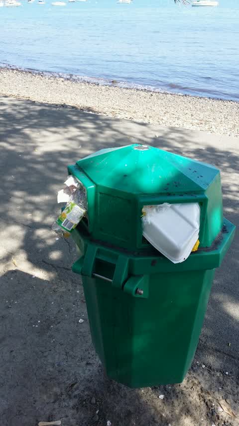 Rubbish/Recycling, a report photo