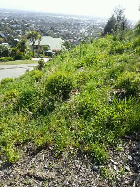 Parks, a report photo