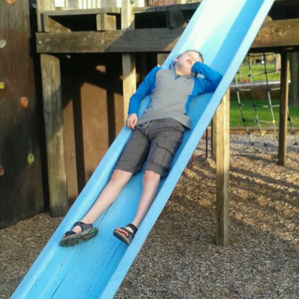 The photograph attached to this parks report