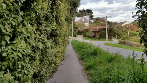 Roading/Streets, a report photo