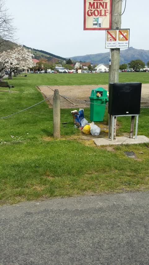 Rubbish/Recycling, a report photo