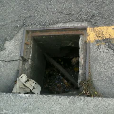 Wastewater/Stormwater, a report photo