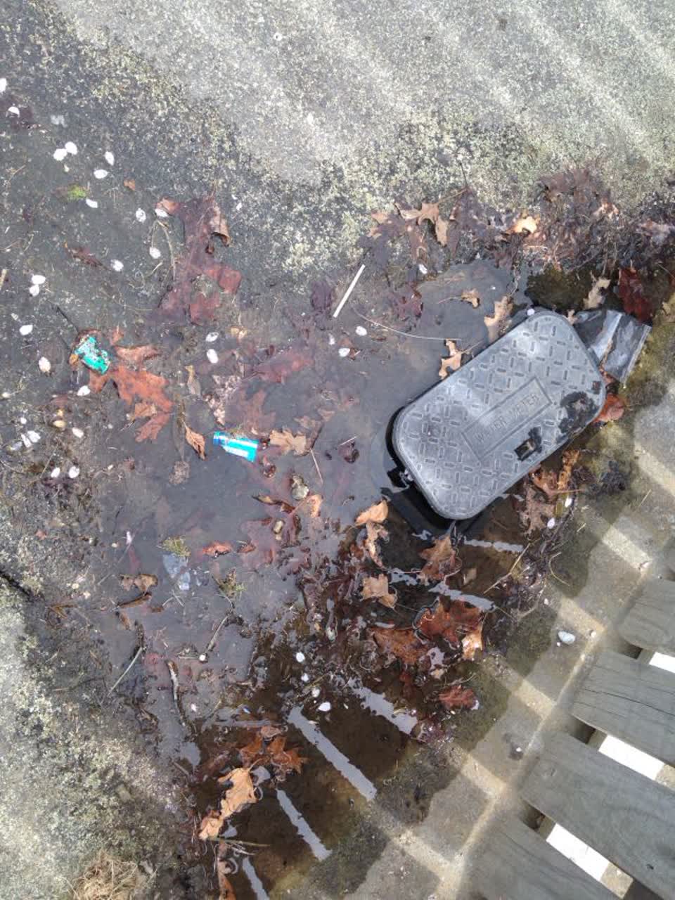 The photograph attached to this water supply report