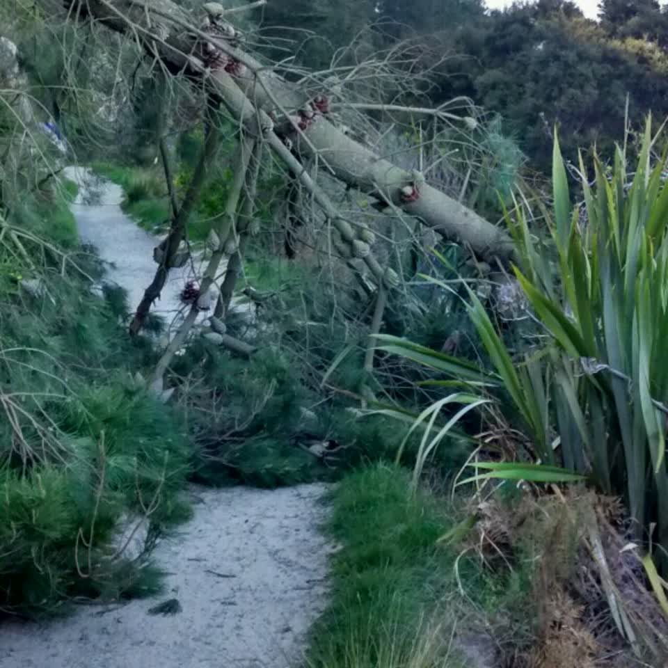 The photograph attached to this parks report
