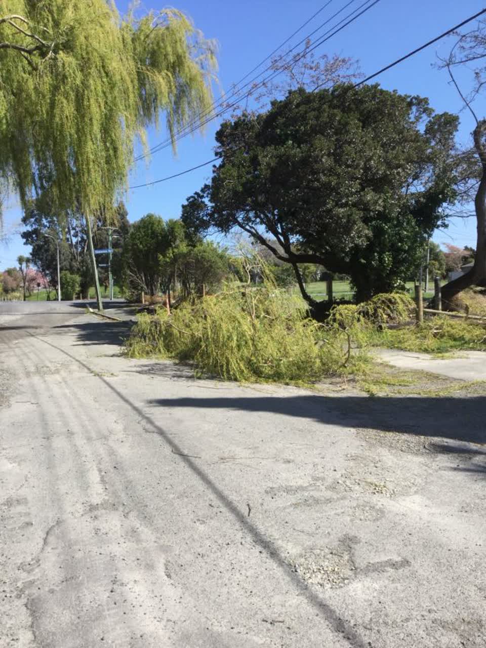 The photograph attached to this roading/streets report