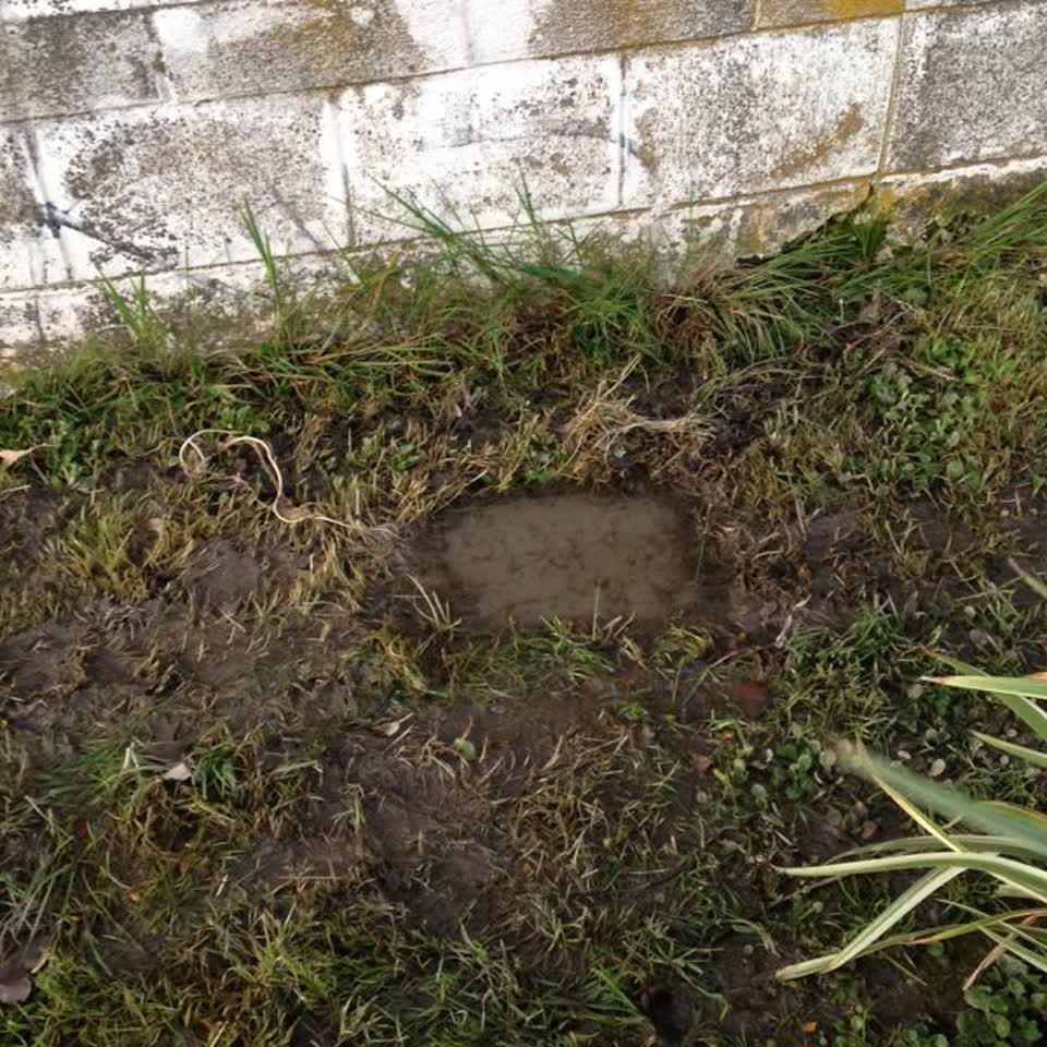 The photograph attached to this water supply report