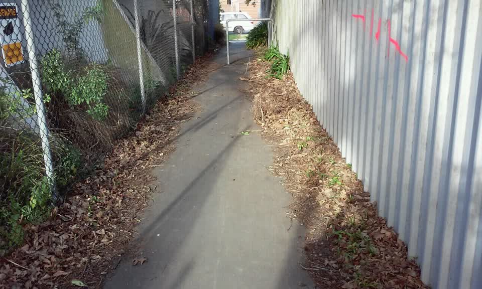 The photograph attached to this parks report