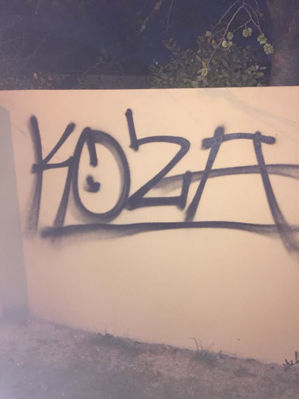The photograph attached to this graffiti report