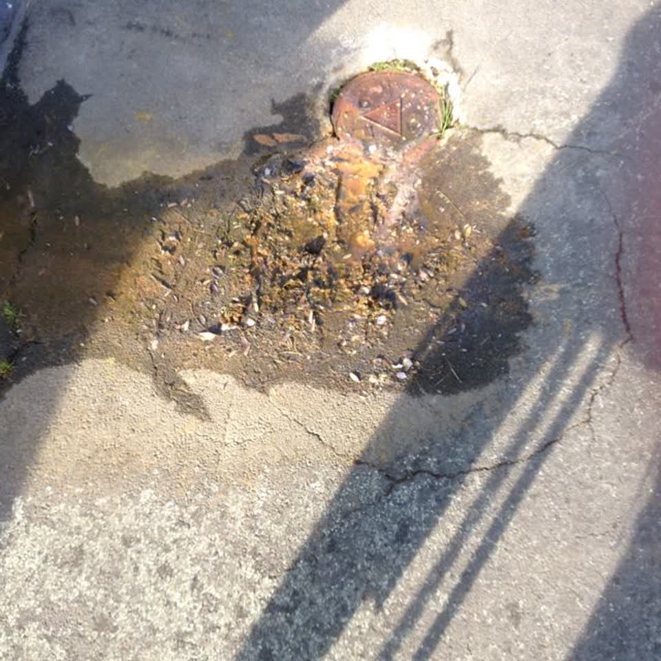 The photograph attached to this wastewater/stormwater report