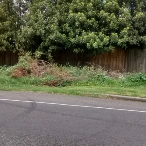 Rubbish/Recycling, a report photo