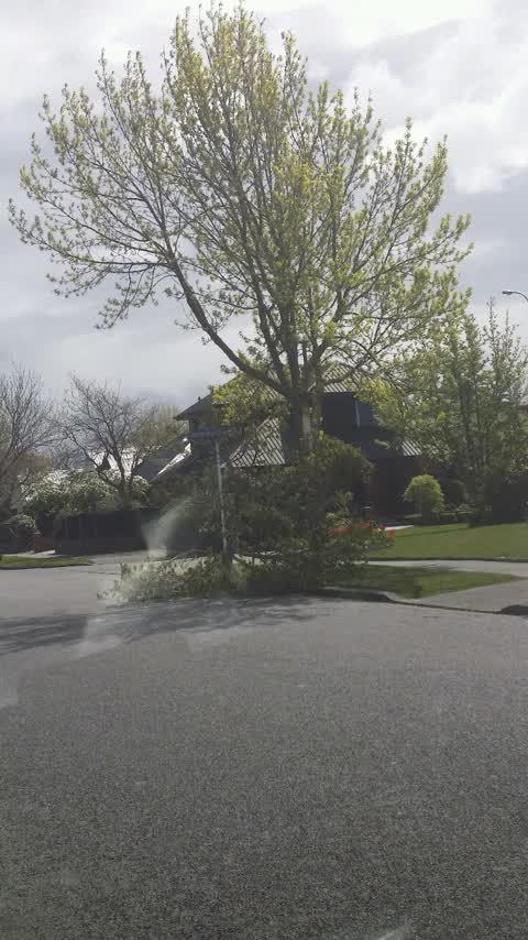 Roading/Streets, a report photo