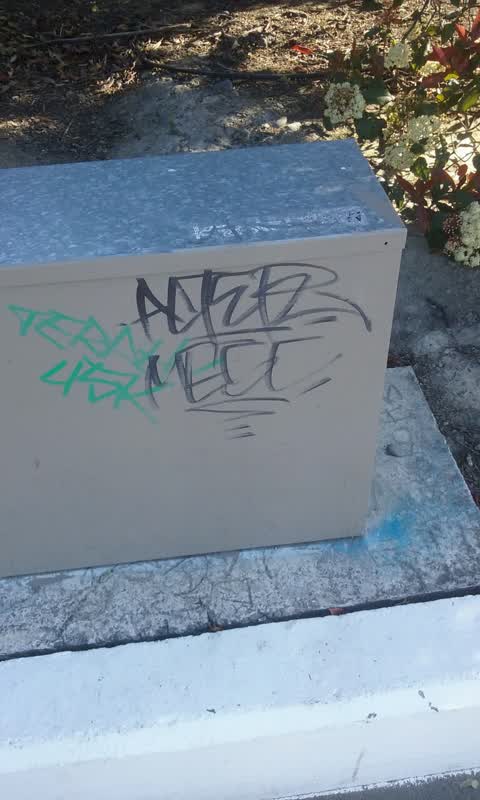 Graffiti, a report photo