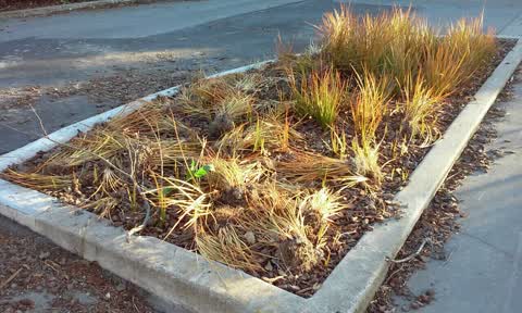 Parks, a report photo