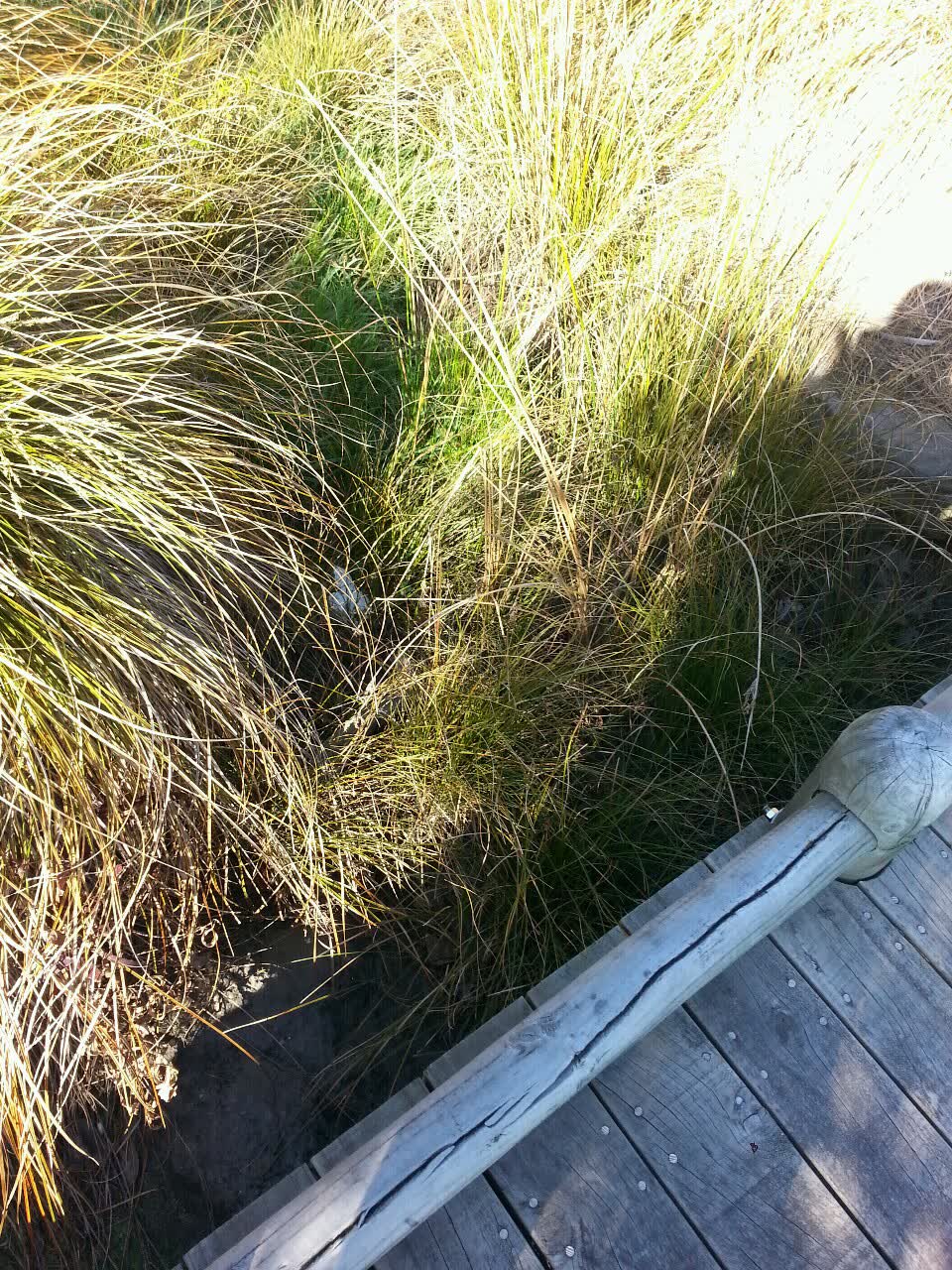 The photograph attached to this wastewater/stormwater report