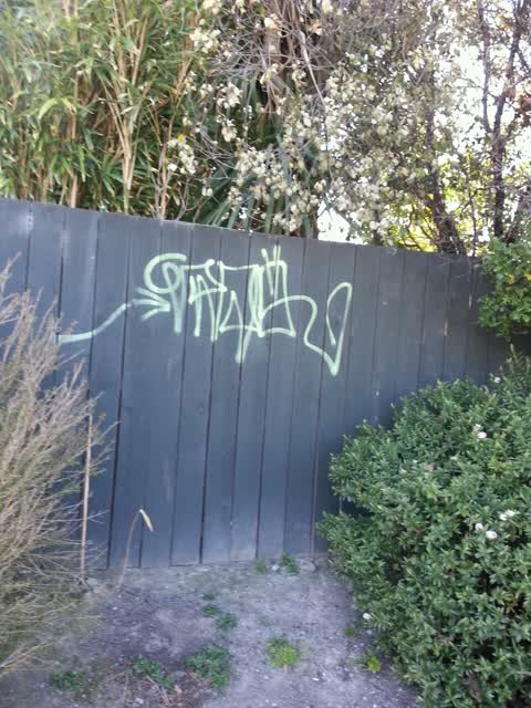 Graffiti, a report photo
