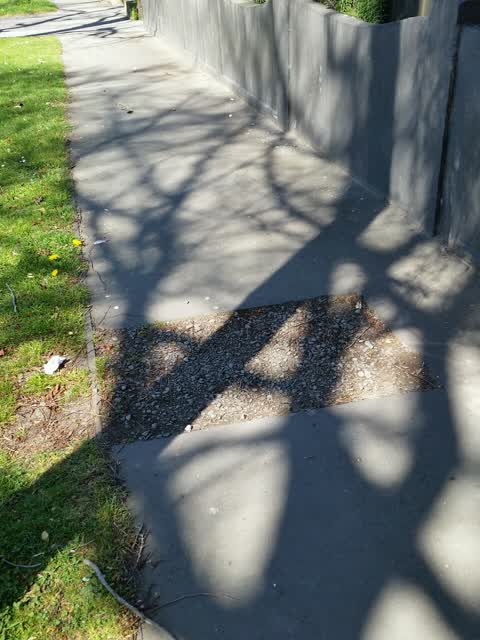 Roading/Streets, a report photo