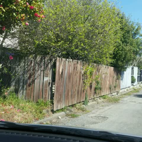Roading/Streets, a report photo