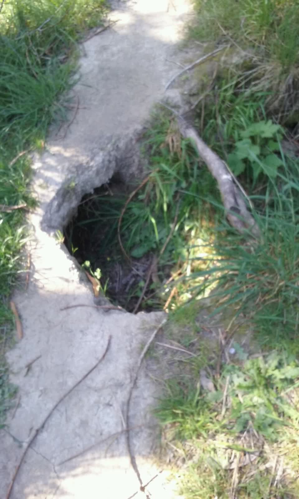 The photograph attached to this parks report